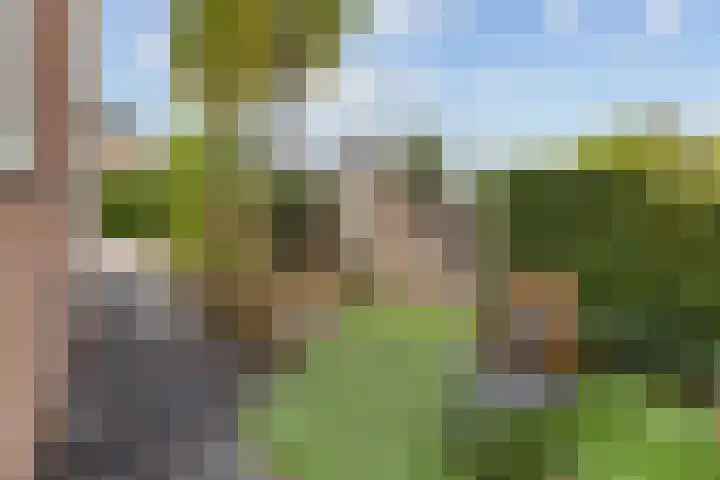 Mattenbieslaan 4 Vleuten thumbnail 34