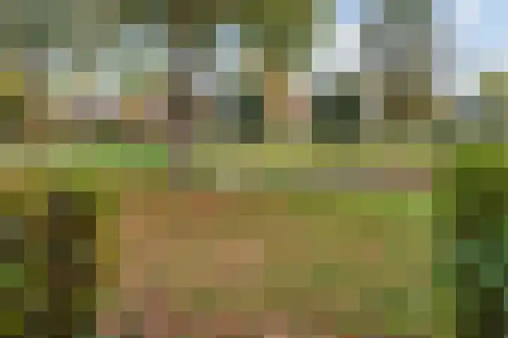 Mattenbieslaan 4 Vleuten thumbnail 35