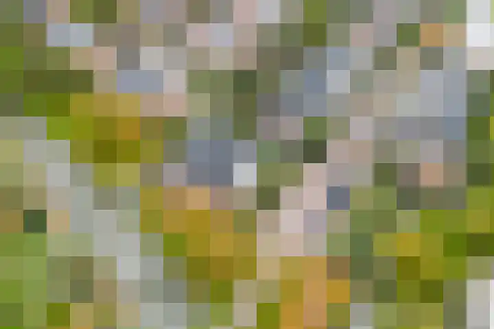Mattenbieslaan 4 Vleuten thumbnail 37