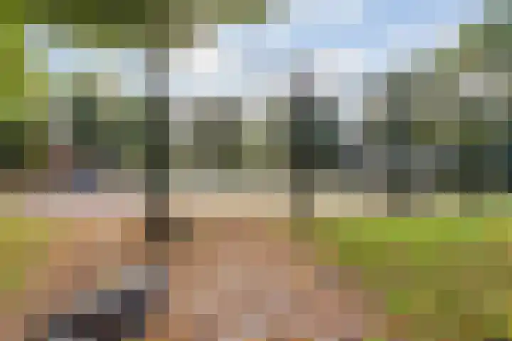 Mattenbieslaan 4 Vleuten thumbnail 38