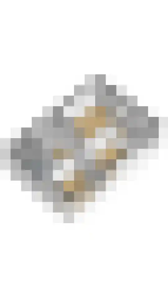 Mattenbieslaan 4 Vleuten thumbnail 39