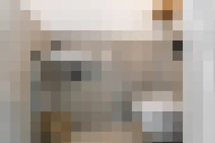 Mattenbieslaan 4 Vleuten thumbnail 5