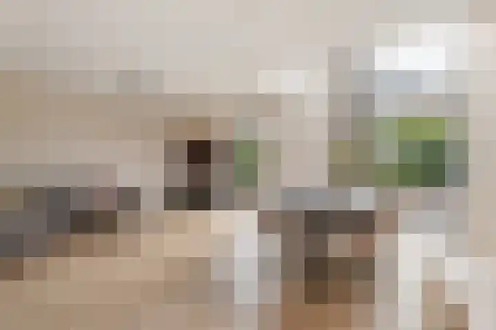 Mattenbieslaan 4 Vleuten thumbnail 6