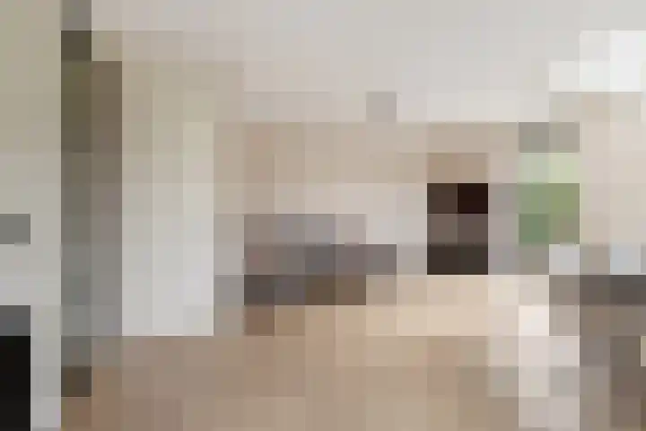 Mattenbieslaan 4 Vleuten thumbnail 7