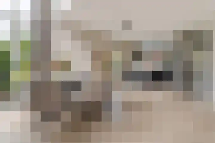 Mattenbieslaan 4 Vleuten thumbnail 9