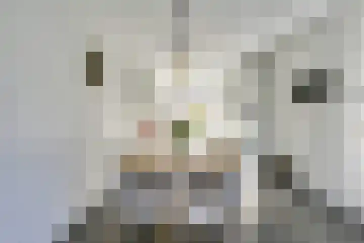 Mattenbieslaan 47 Vleuten thumbnail 15