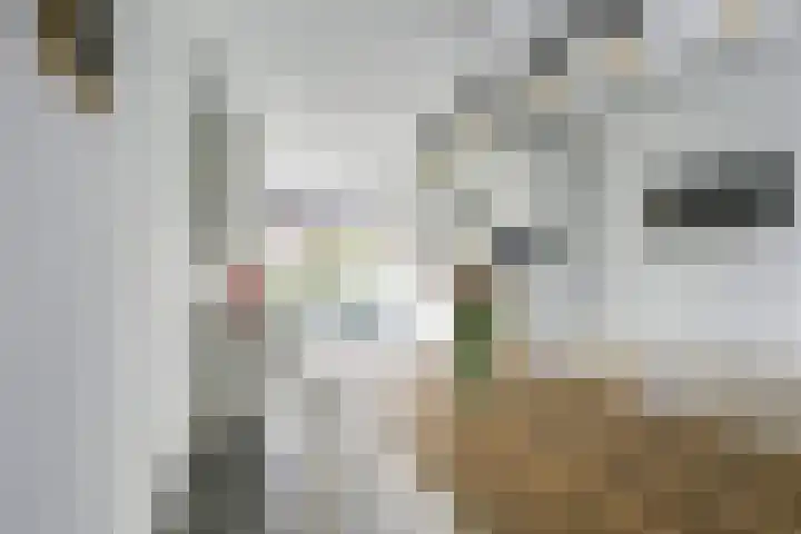 Mattenbieslaan 47 Vleuten thumbnail 16