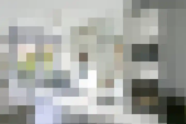Mattenbieslaan 47 Vleuten thumbnail 19