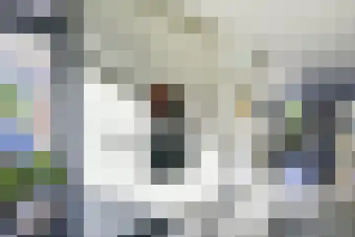 Mattenbieslaan 47 Vleuten thumbnail 20