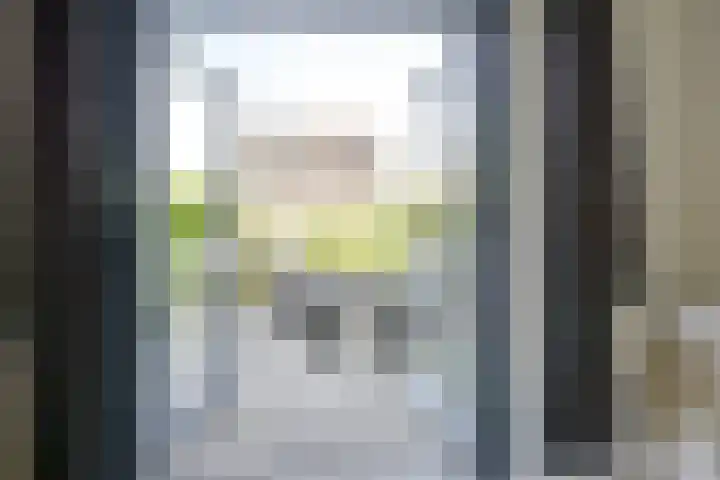 Mattenbieslaan 47 Vleuten thumbnail 21