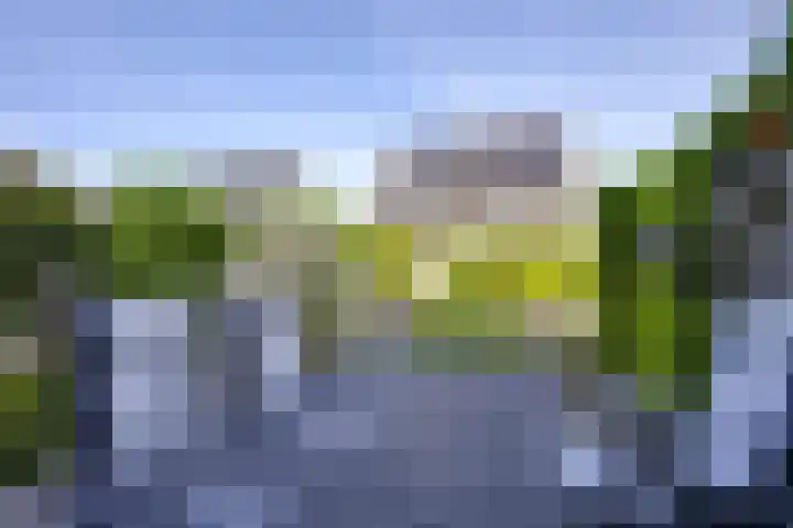 Mattenbieslaan 47 Vleuten thumbnail 22
