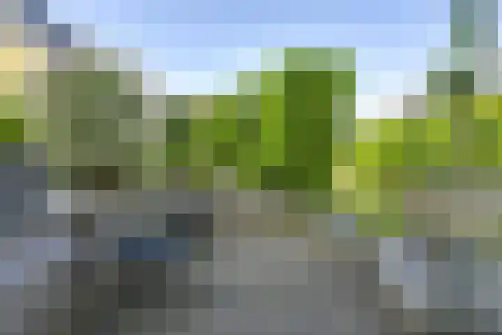 Mattenbieslaan 47 Vleuten thumbnail 24