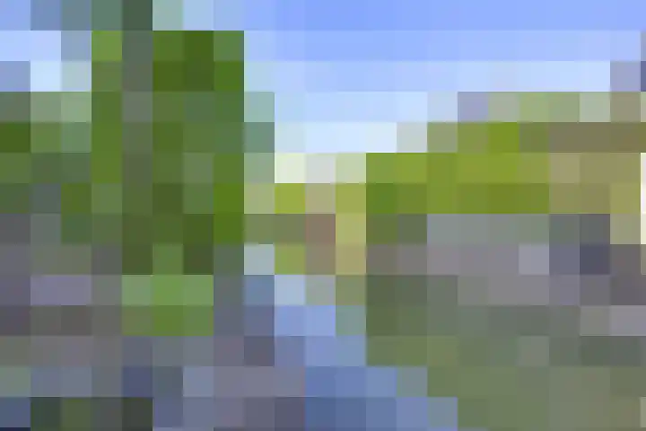 Mattenbieslaan 47 Vleuten thumbnail 26