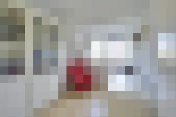 Mattenbieslaan 47 Vleuten thumbnail 32