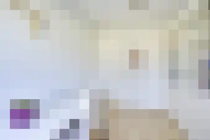 Mattenbieslaan 47 Vleuten thumbnail 33