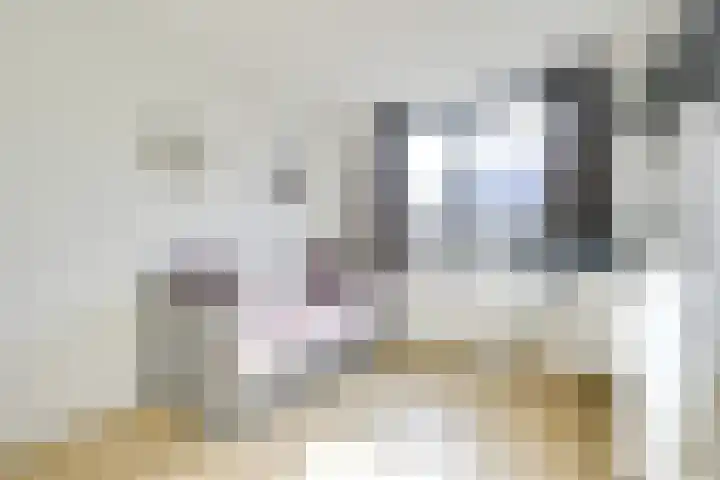 Mattenbieslaan 47 Vleuten thumbnail 34