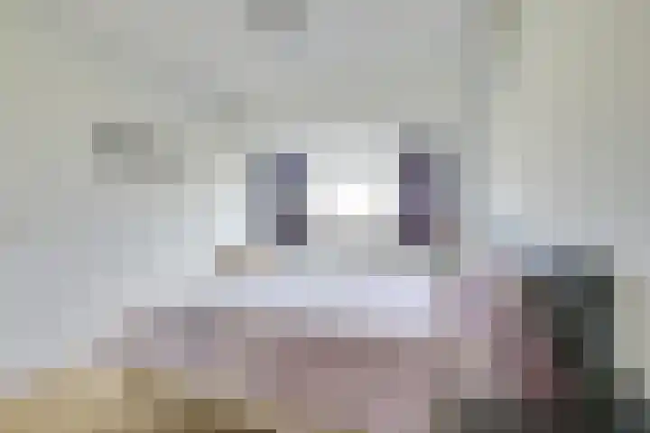 Mattenbieslaan 47 Vleuten thumbnail 37