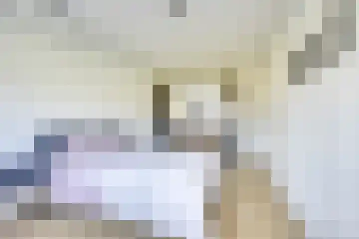 Mattenbieslaan 47 Vleuten thumbnail 38
