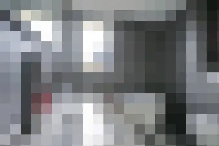 Mattenbieslaan 47 Vleuten thumbnail 39