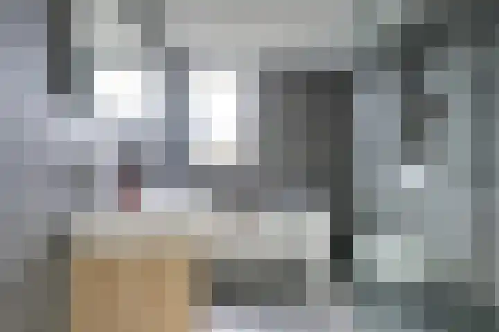 Mattenbieslaan 47 Vleuten thumbnail 4