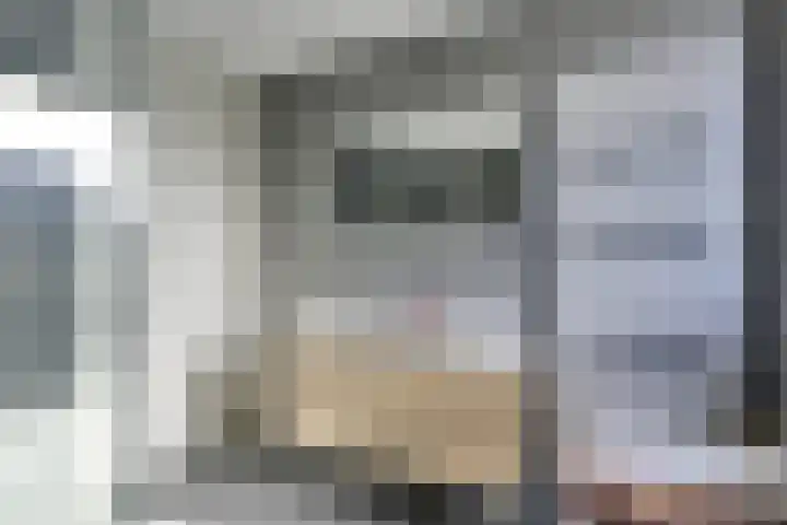 Mattenbieslaan 47 Vleuten thumbnail 40