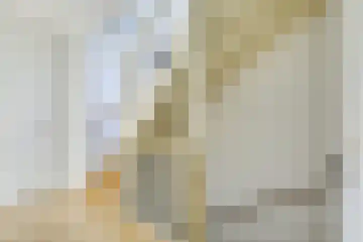 Mattenbieslaan 47 Vleuten thumbnail 45