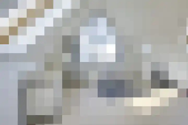 Mattenbieslaan 47 Vleuten thumbnail 47