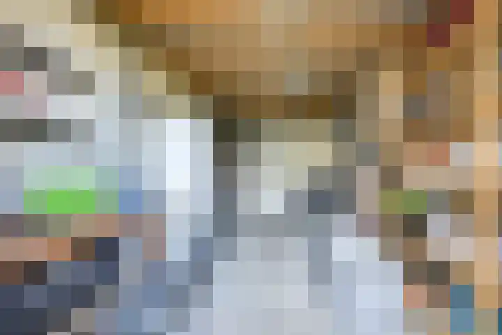 Mattenbieslaan 47 Vleuten thumbnail 49