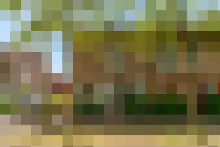 Mattenbieslaan 71 Vleuten