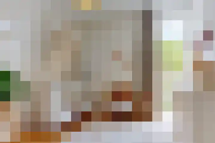 Mattenbieslaan 71 Vleuten thumbnail 21