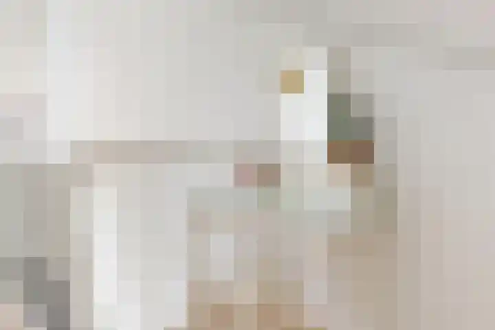 Mattenbieslaan 71 Vleuten thumbnail 28