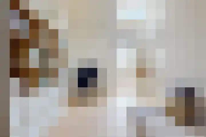 Mattenbieslaan 71 Vleuten thumbnail 29