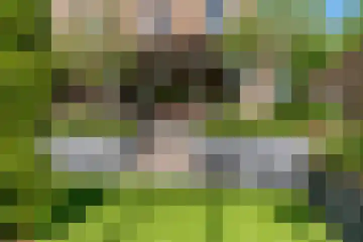 Mattenbieslaan 71 Vleuten thumbnail 32