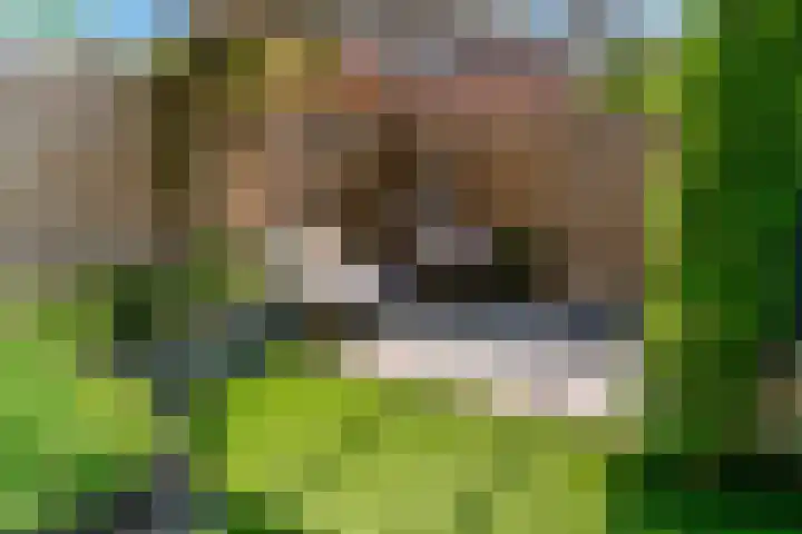 Mattenbieslaan 71 Vleuten thumbnail 33