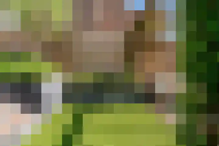 Mattenbieslaan 71 Vleuten thumbnail 34