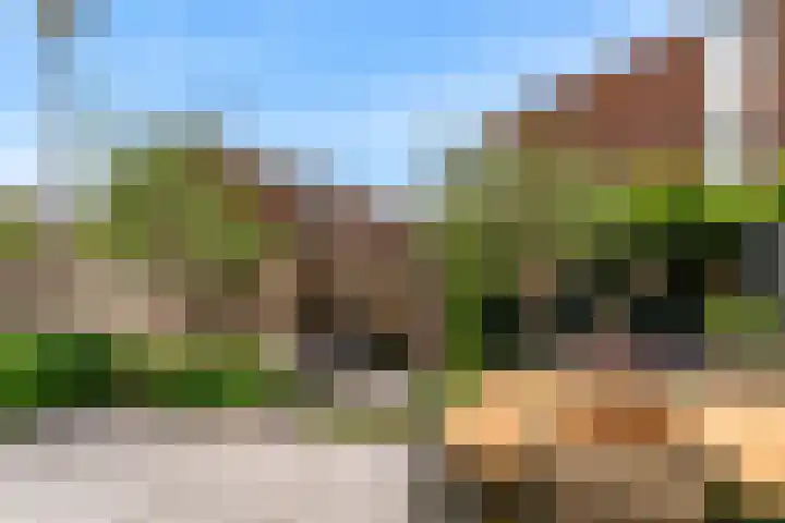 Mattenbieslaan 71 Vleuten thumbnail 35