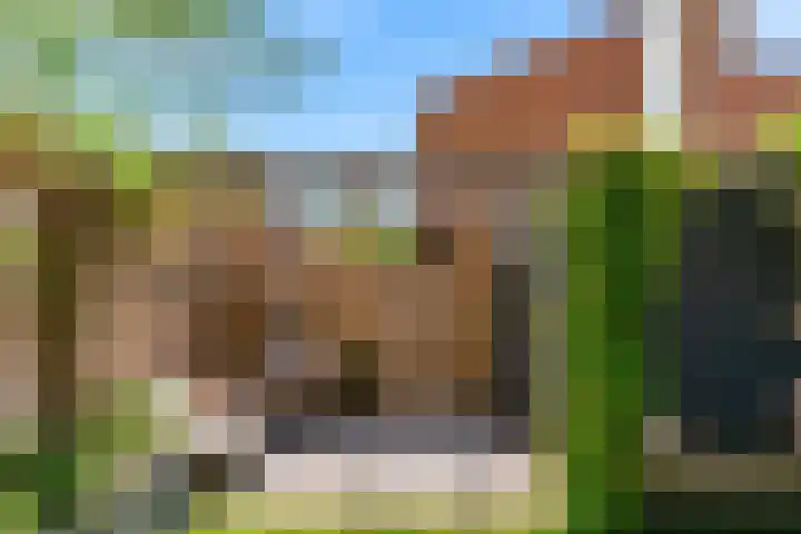 Mattenbieslaan 71 Vleuten thumbnail 36