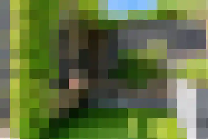 Mattenbieslaan 71 Vleuten thumbnail 38