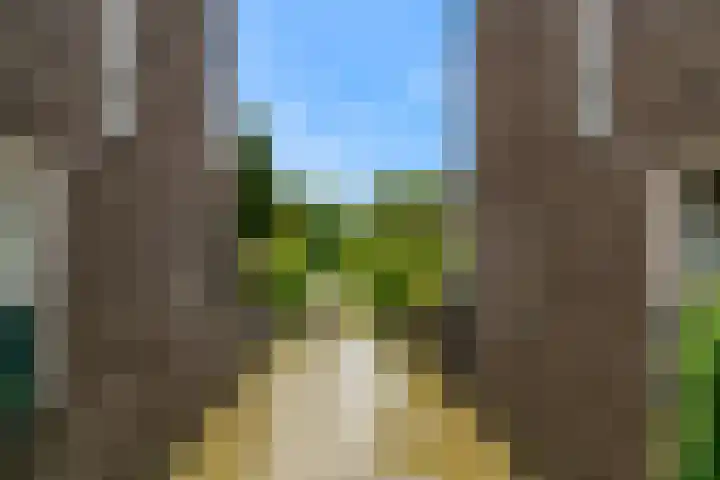 Mattenbieslaan 71 Vleuten thumbnail 42