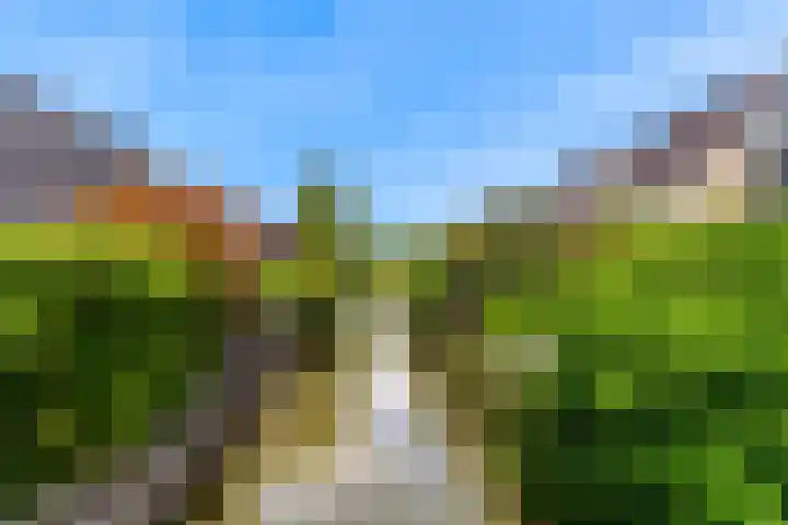 Mattenbieslaan 71 Vleuten thumbnail 43