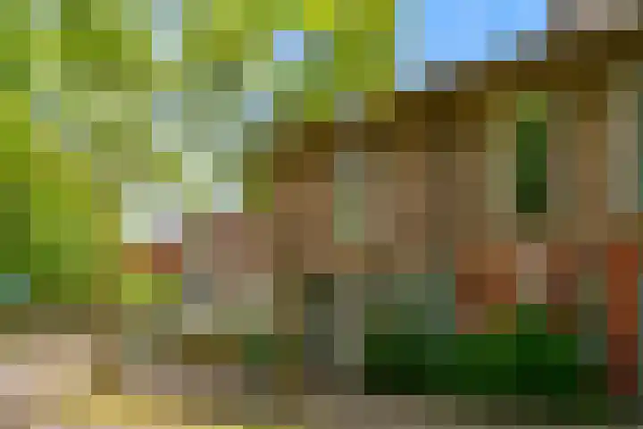 Mattenbieslaan 71 Vleuten thumbnail 45