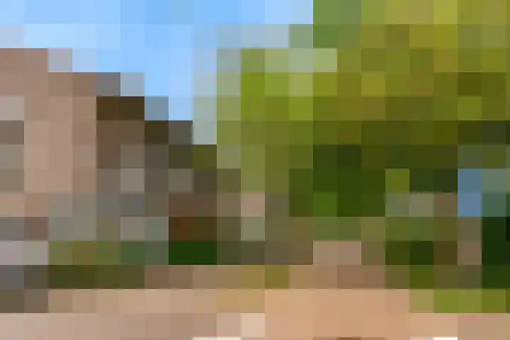 Mattenbieslaan 71 Vleuten thumbnail 46