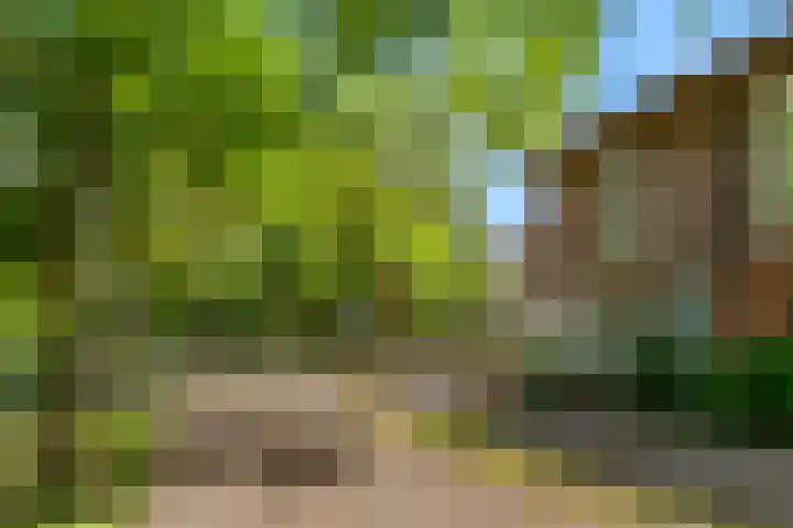 Mattenbieslaan 71 Vleuten thumbnail 47