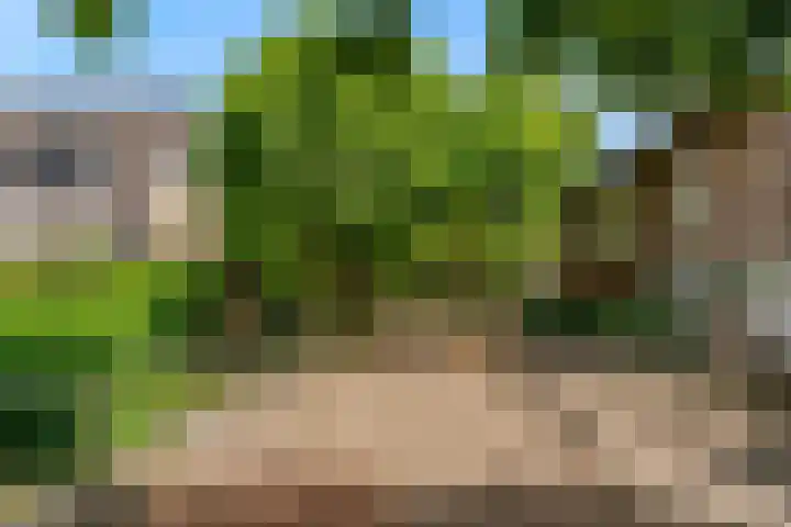 Mattenbieslaan 71 Vleuten thumbnail 48