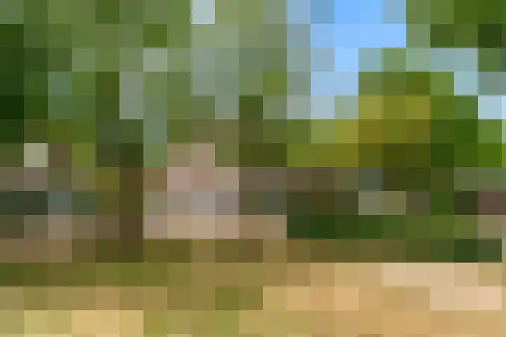 Mattenbieslaan 71 Vleuten thumbnail 49