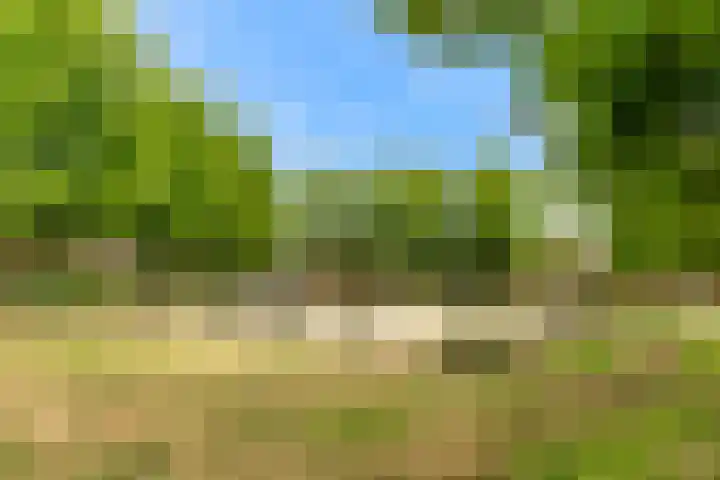 Mattenbieslaan 71 Vleuten thumbnail 51