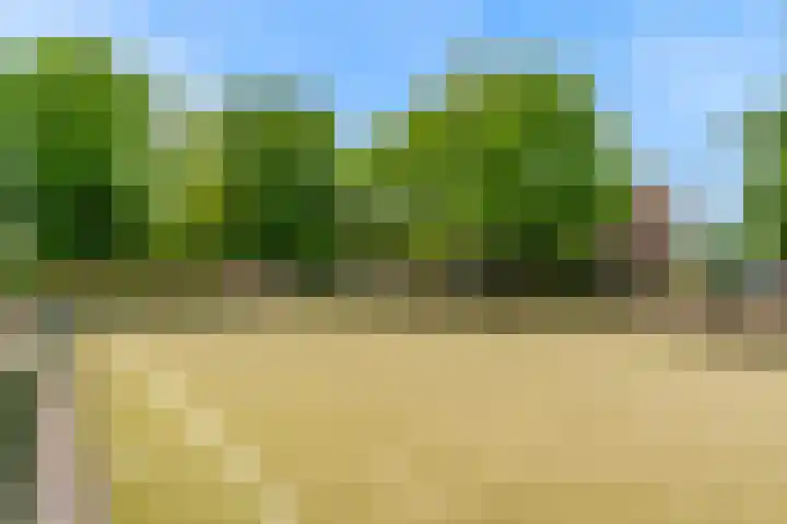 Mattenbieslaan 71 Vleuten thumbnail 52