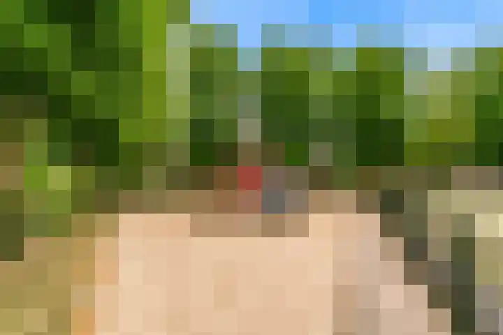 Mattenbieslaan 71 Vleuten thumbnail 53