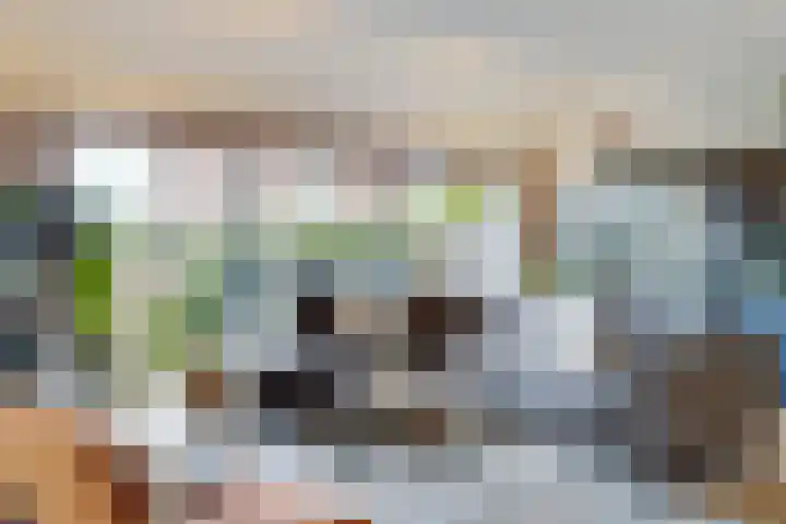 Mattenbieslaan 71 Vleuten thumbnail 6
