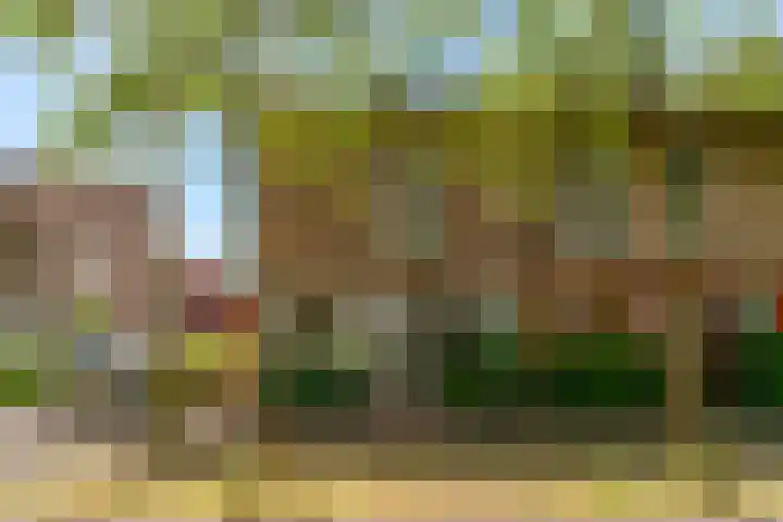 Mattenbieslaan 71 Vleuten thumbnail 63
